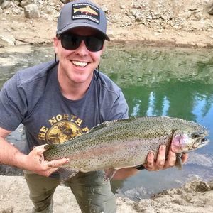 Meet your Posher, Samuel